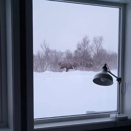 Aurora Andoya Skarstein (Andoya)