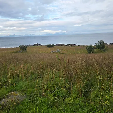 Aurora Andøya Skarstein (Andoya)